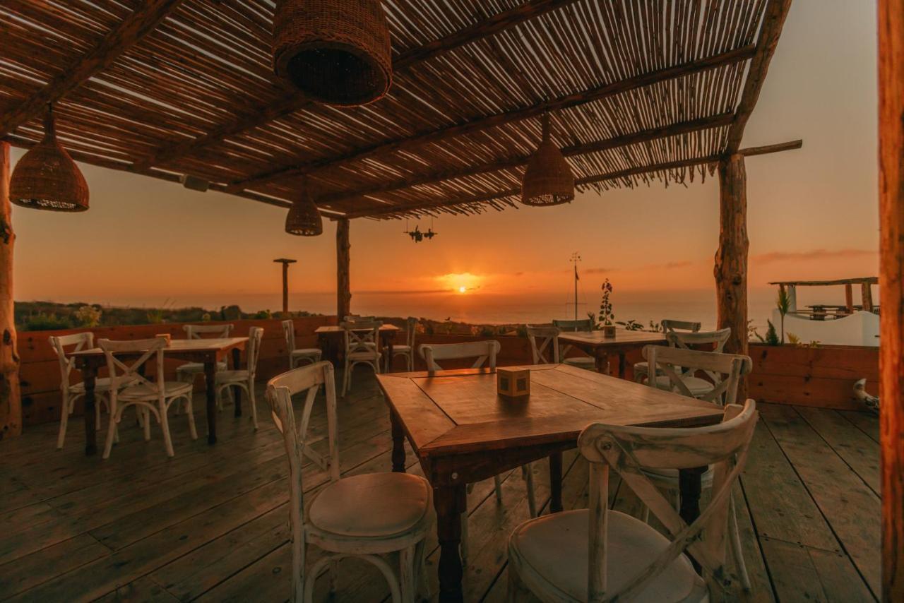 Отель Nest Baja Сан-Хосе-дель-Кабо Экстерьер фото